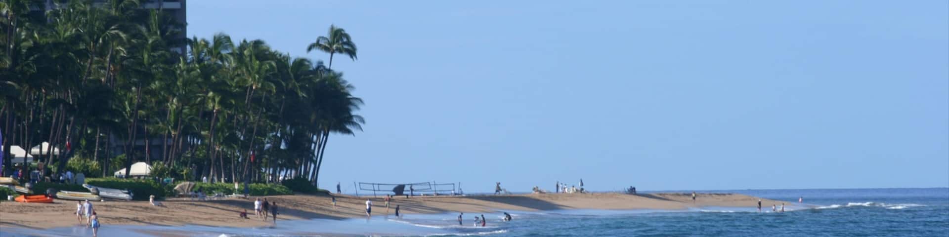 Kapalua Beach featuring landscape views