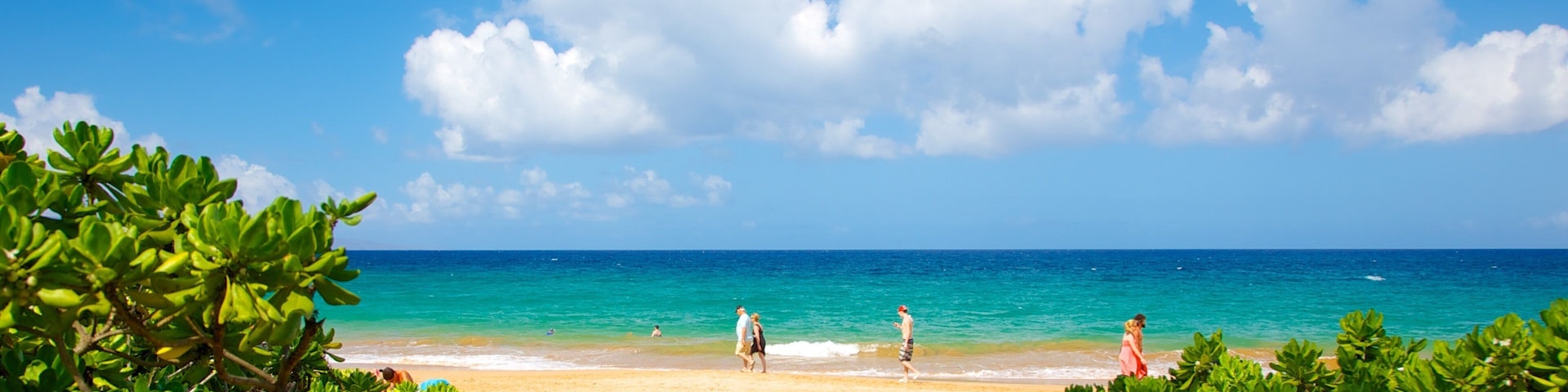 Keawakapu Beach North featuring a sandy beach, tropical scenes and landscape views