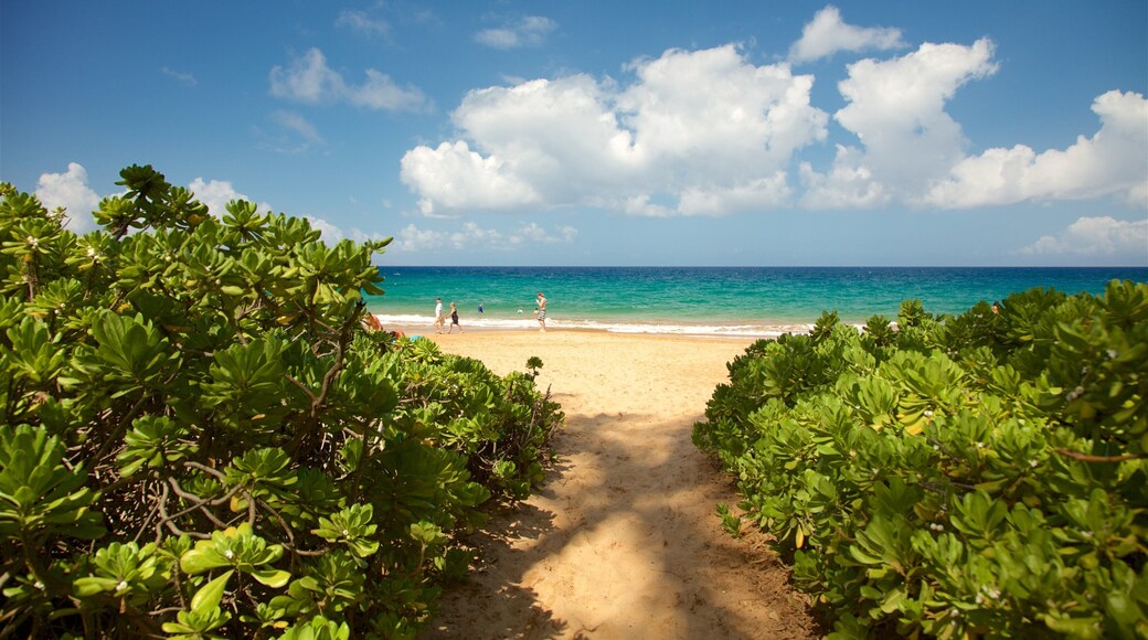 Keawakapu Beach featuring general coastal views and a beach