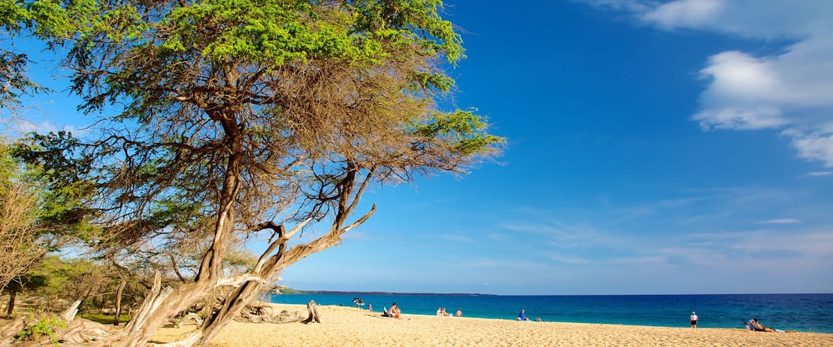 Makena Beach State Park mostrando una playa de arena
