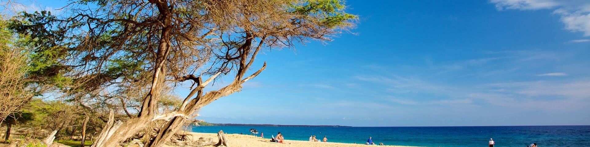 Makena Beach State Park mettant en vedette plage