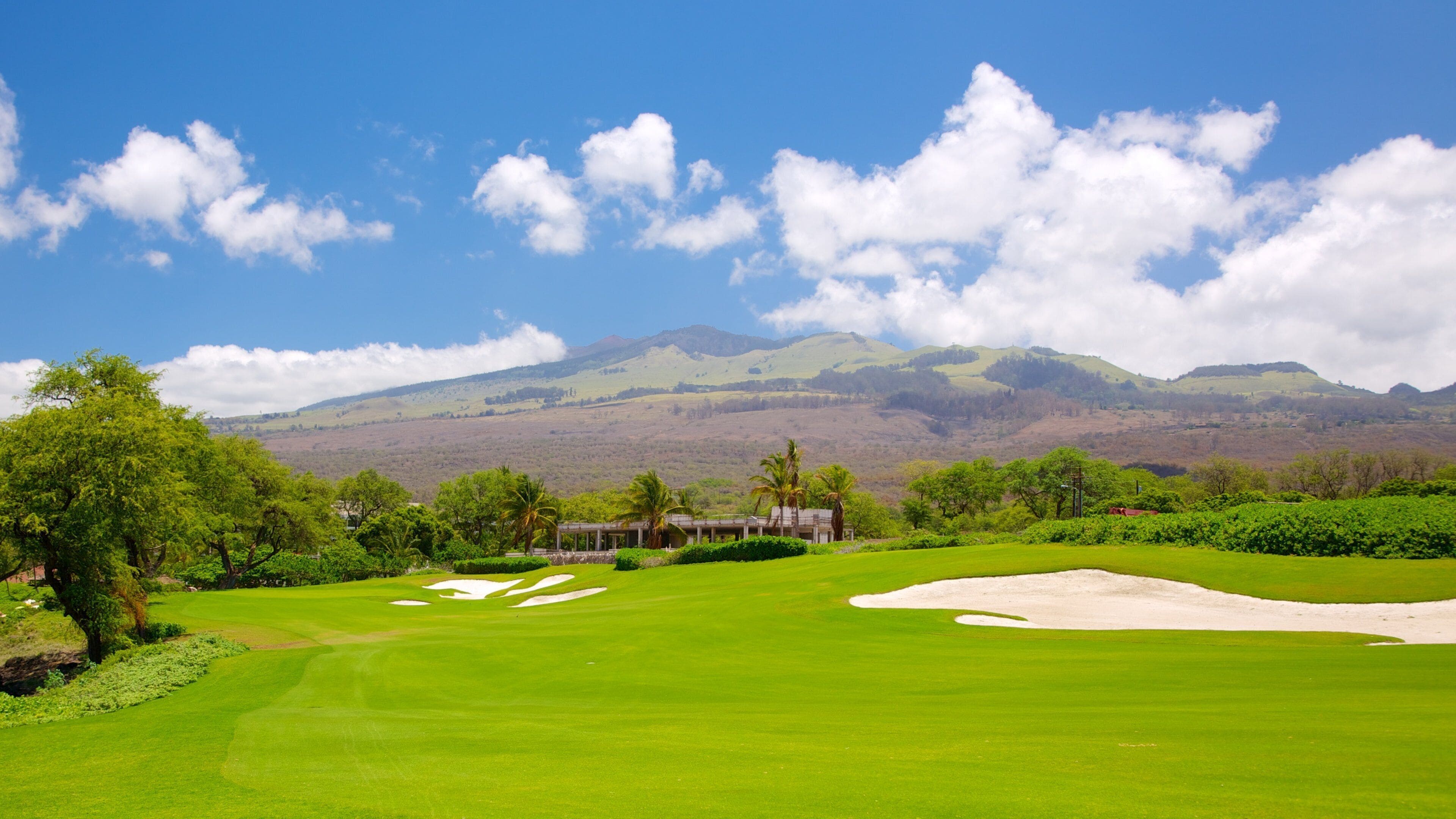 Maluaka Beach som viser udsigt over landskaber