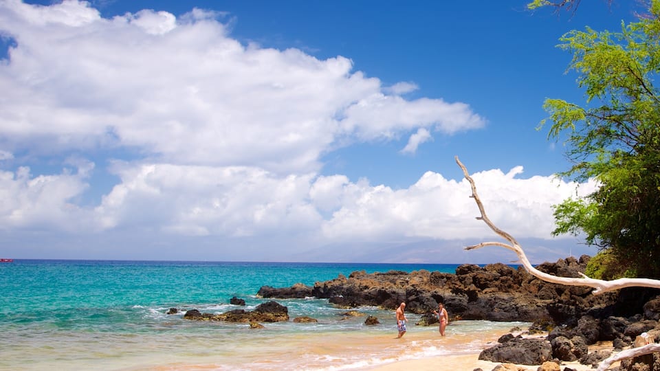 A beach with clear turquoise water, rocky shoreline, and a large tree branch extending over the water.