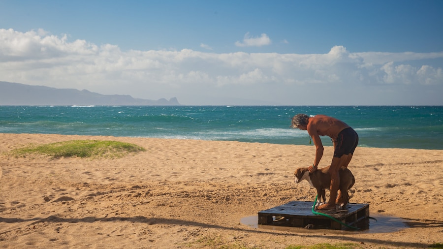 H.A. Baldwin Beach State Park