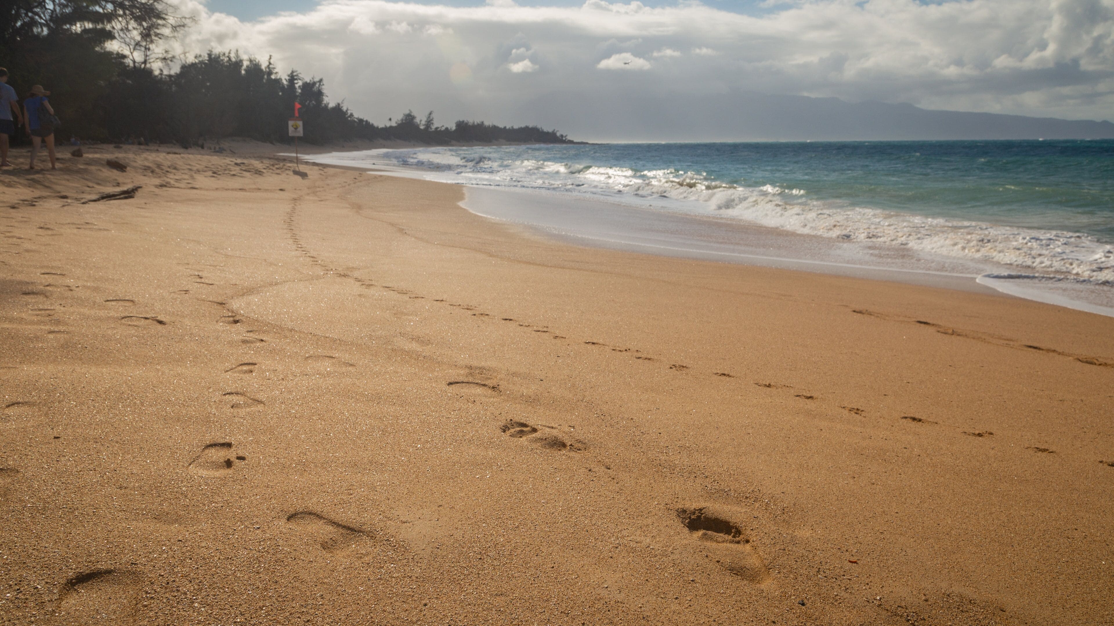 H.A. Baldwin Beach State Park