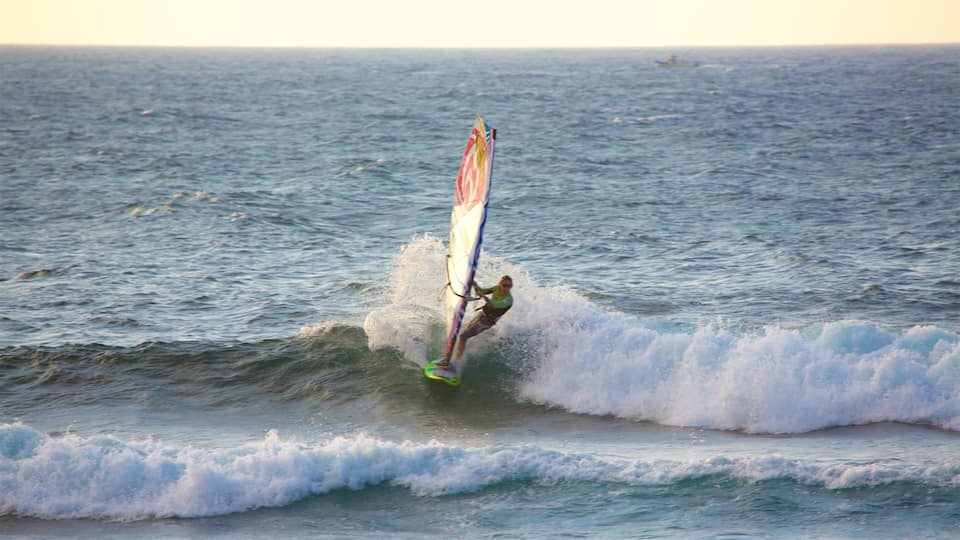 A person windsurfing on a wave.