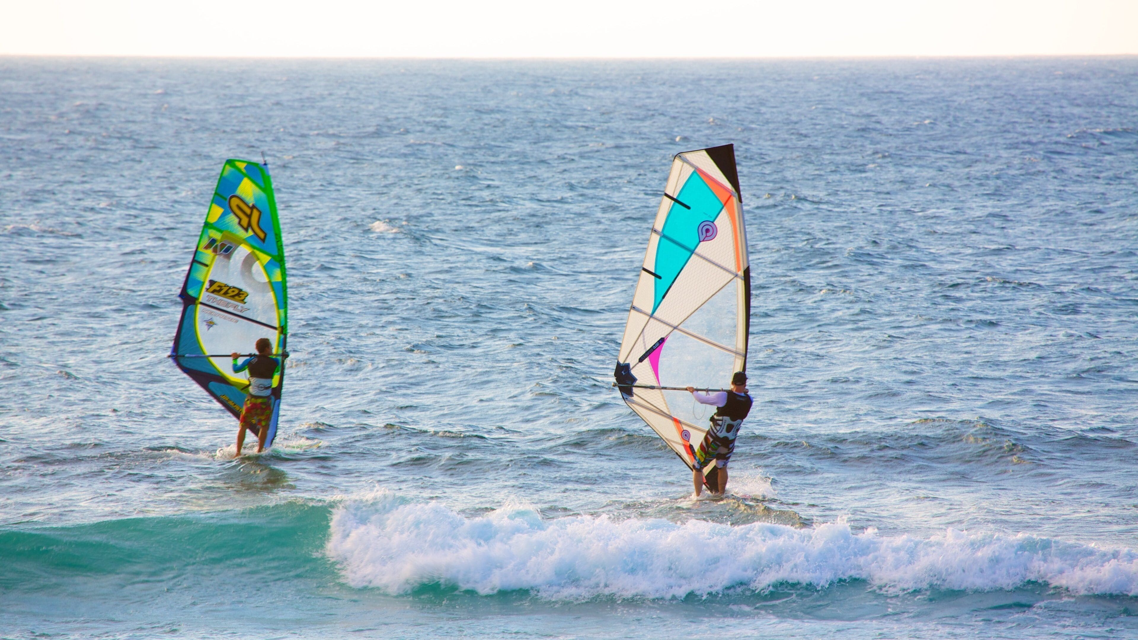 Two people windsurfing in the ocean.