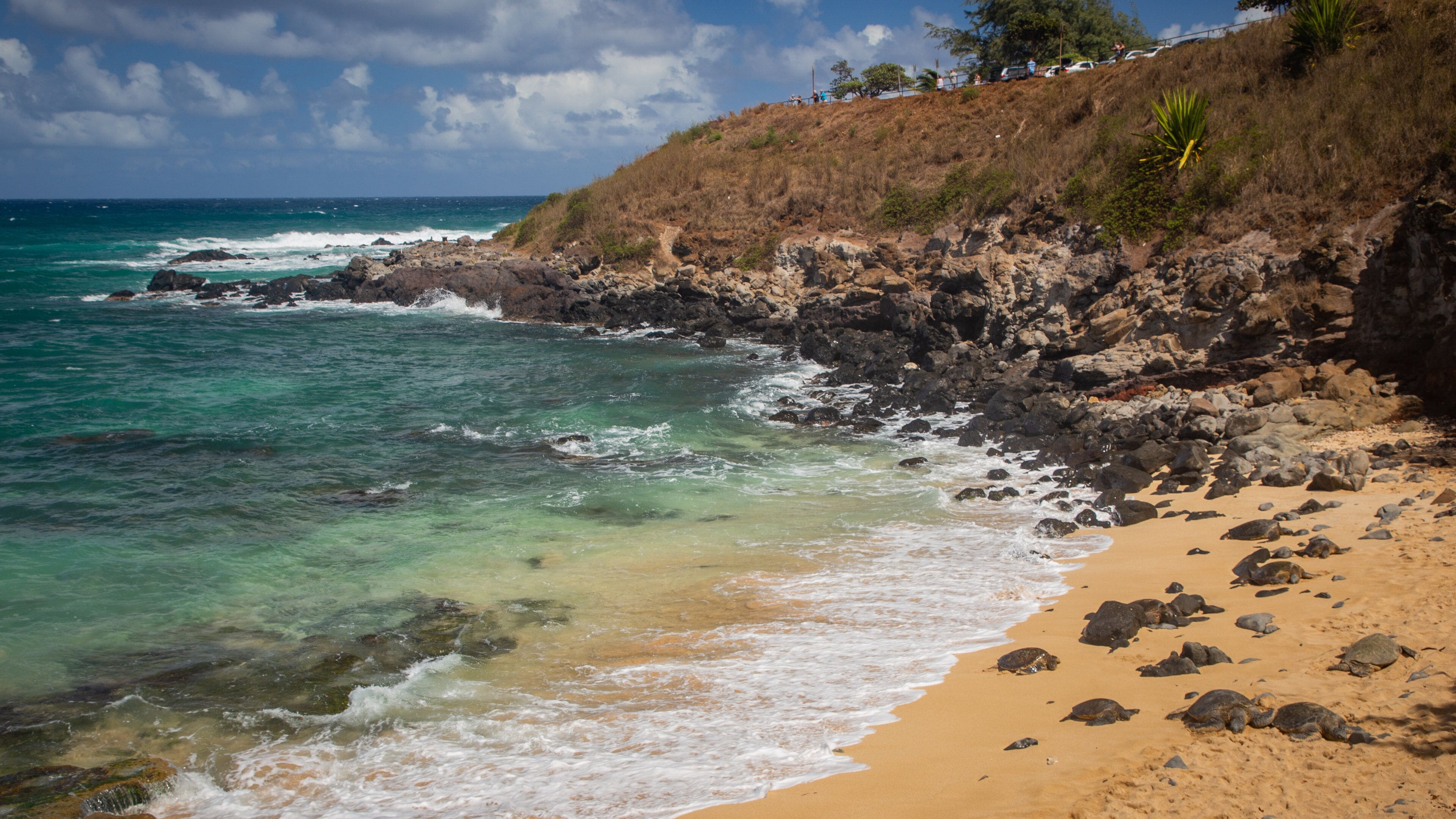 Hookipa Beach Park