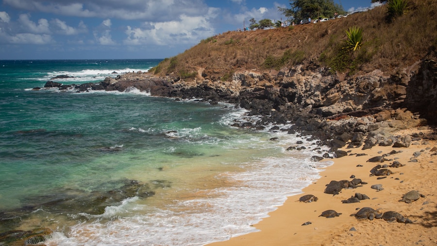 Hookipa Beach Park