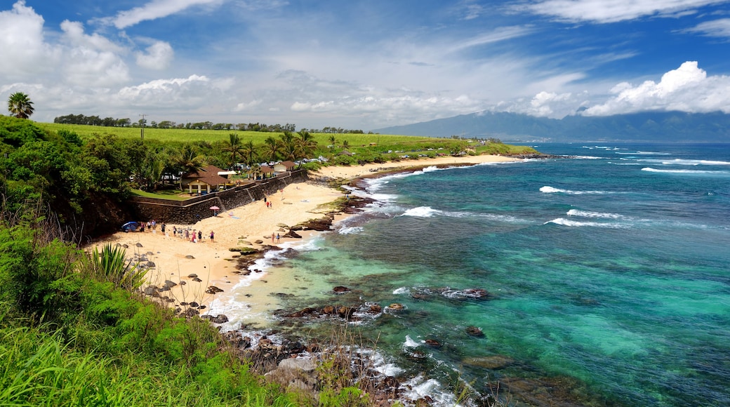 Condado de Maui