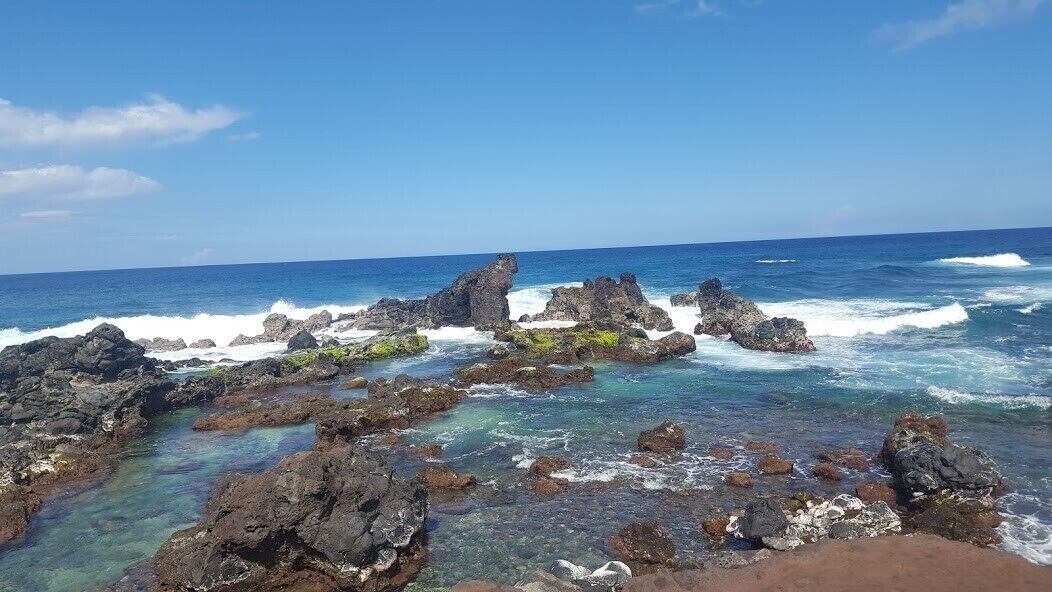 Amazing find! Climb down over the edge and on to the rocks to appreciate all the beauty -- you may even spot some seals! Also, a GREAT spot to grab a hot dog from Bob's Hot Dog Truck and DELICIOUS mango sorbet from Kya's sorbet cart -- super fresh and all organic! A definitely MUST stop spot on the road to Hana!