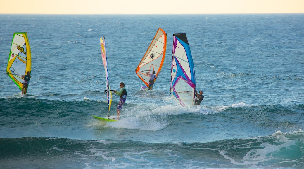 Parque de la playa Hookipa mostrando windsurf y olas