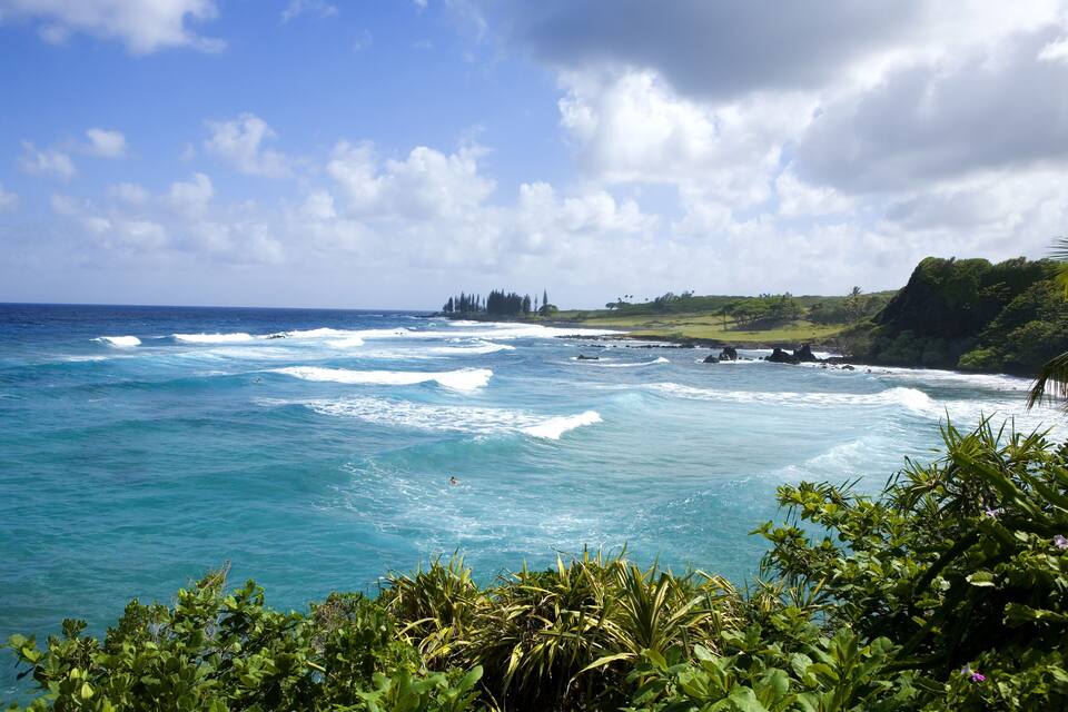 A coastal landscape with waves crashing onto the shore, a clear sky, and lush greenery.