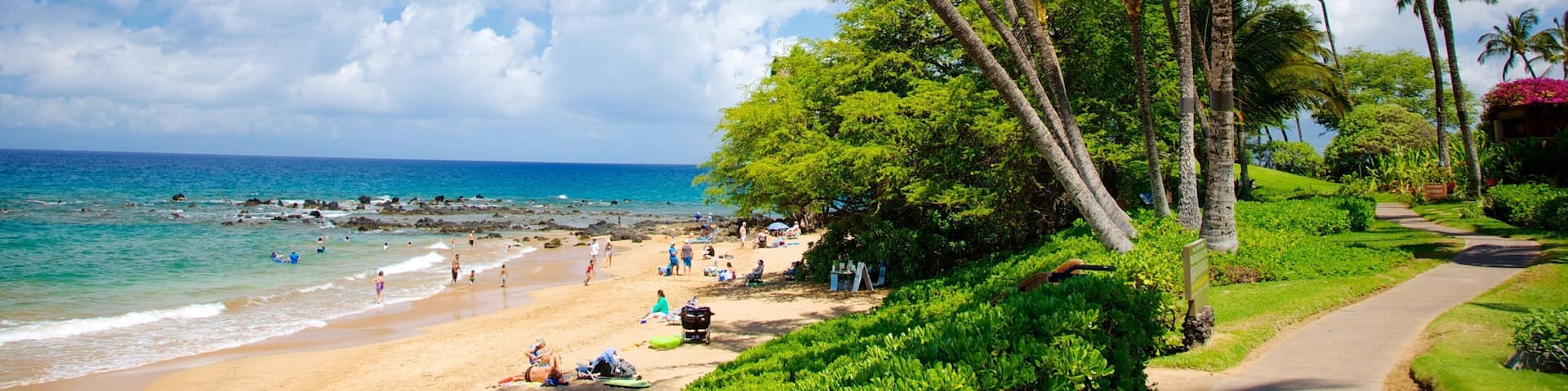 Wailea Beach showing tropical scenes, swimming and a sandy beach