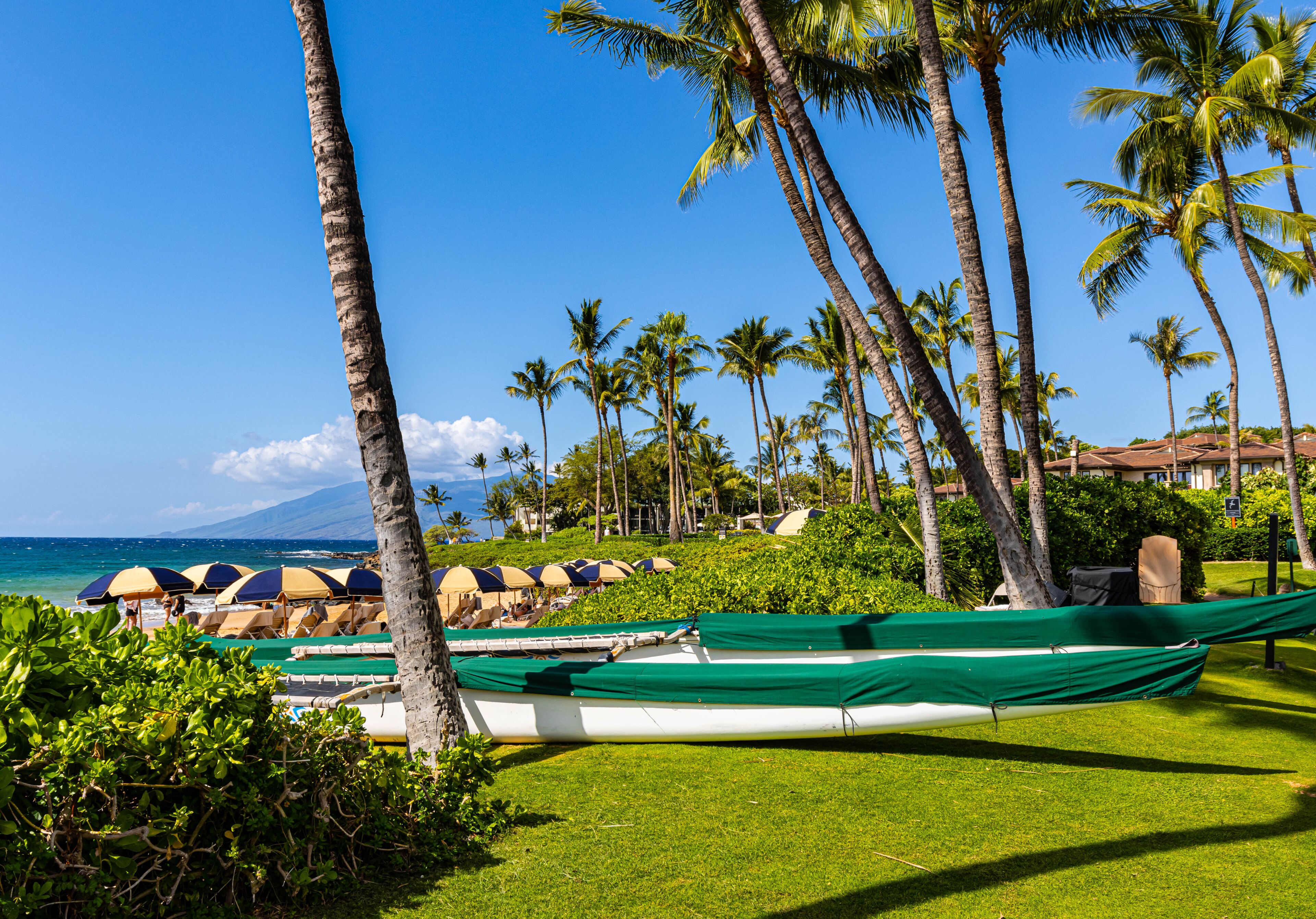 Une plage bordée de palmiers, une rangée de parasols et un bateau vert posé sur l’herbe.