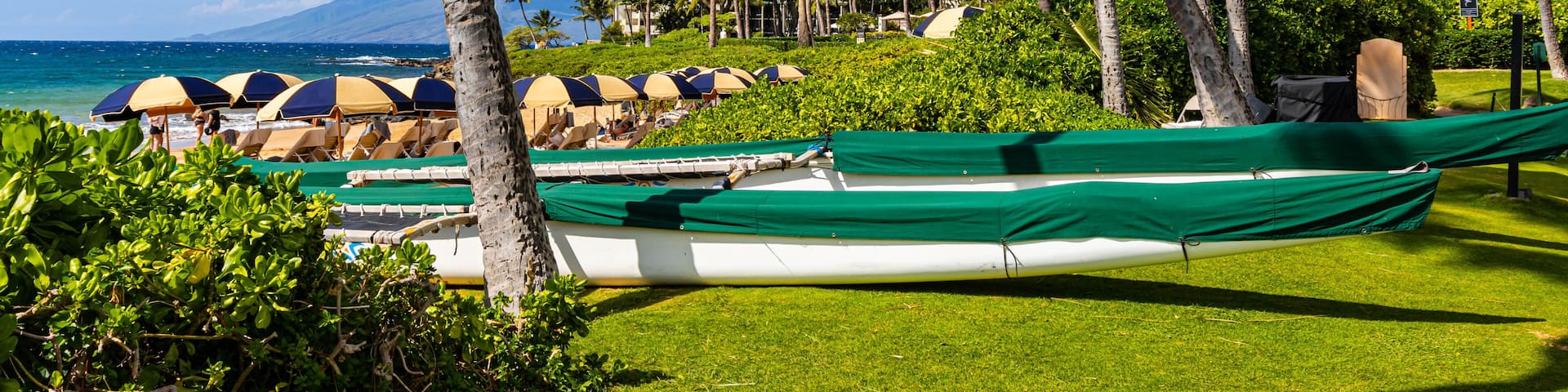 A beach with palm trees, a row of beach umbrellas, and a green boat on the grass.