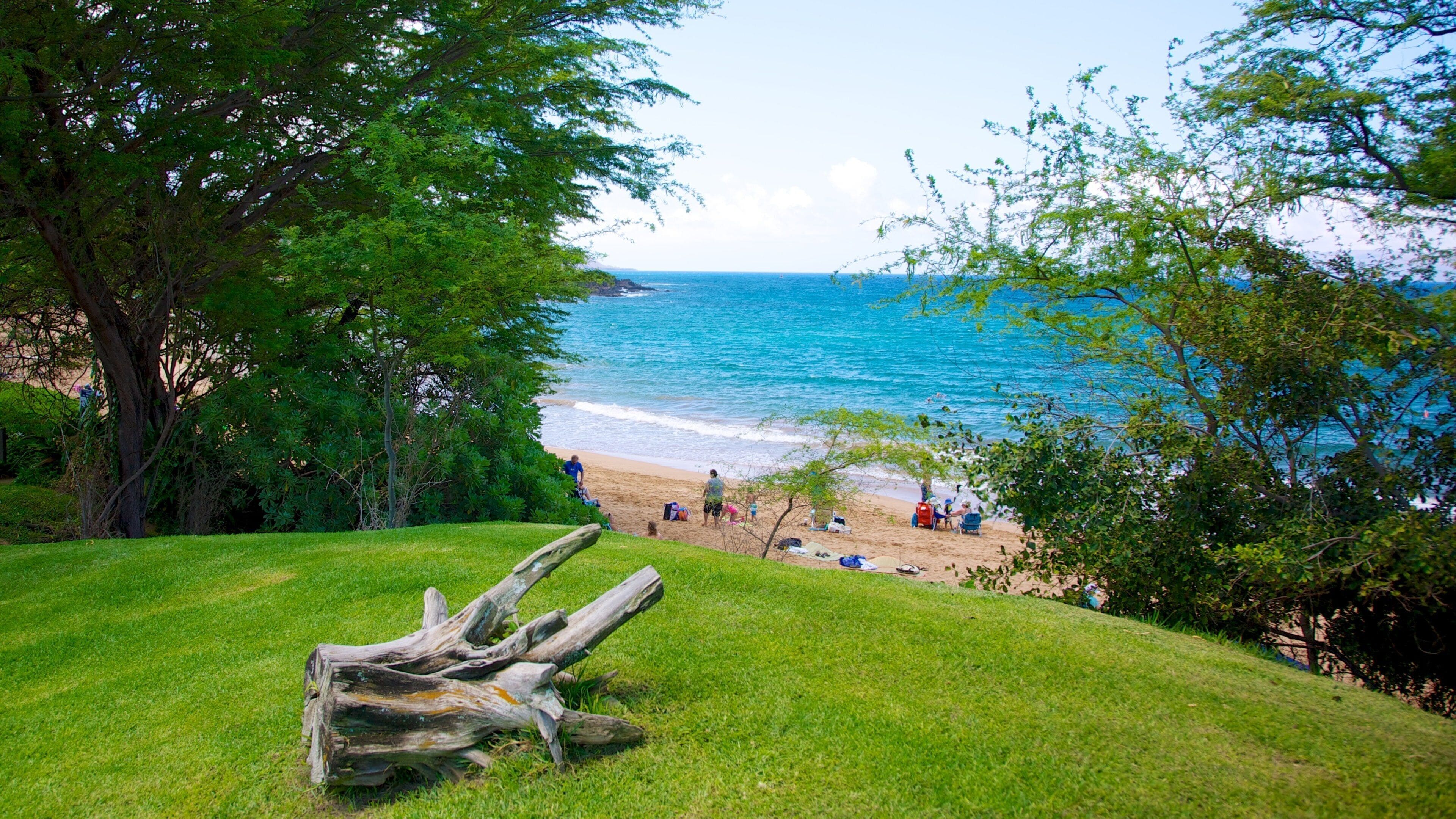 Wailea Beach featuring a sandy beach and tropical scenes