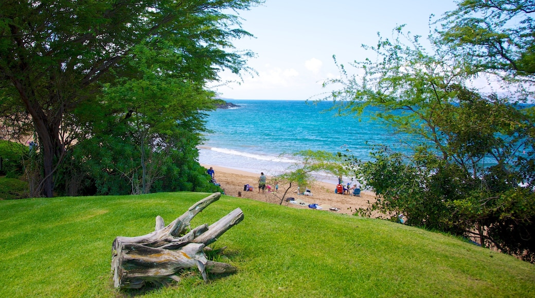 Wailea Beach featuring a sandy beach and tropical scenes