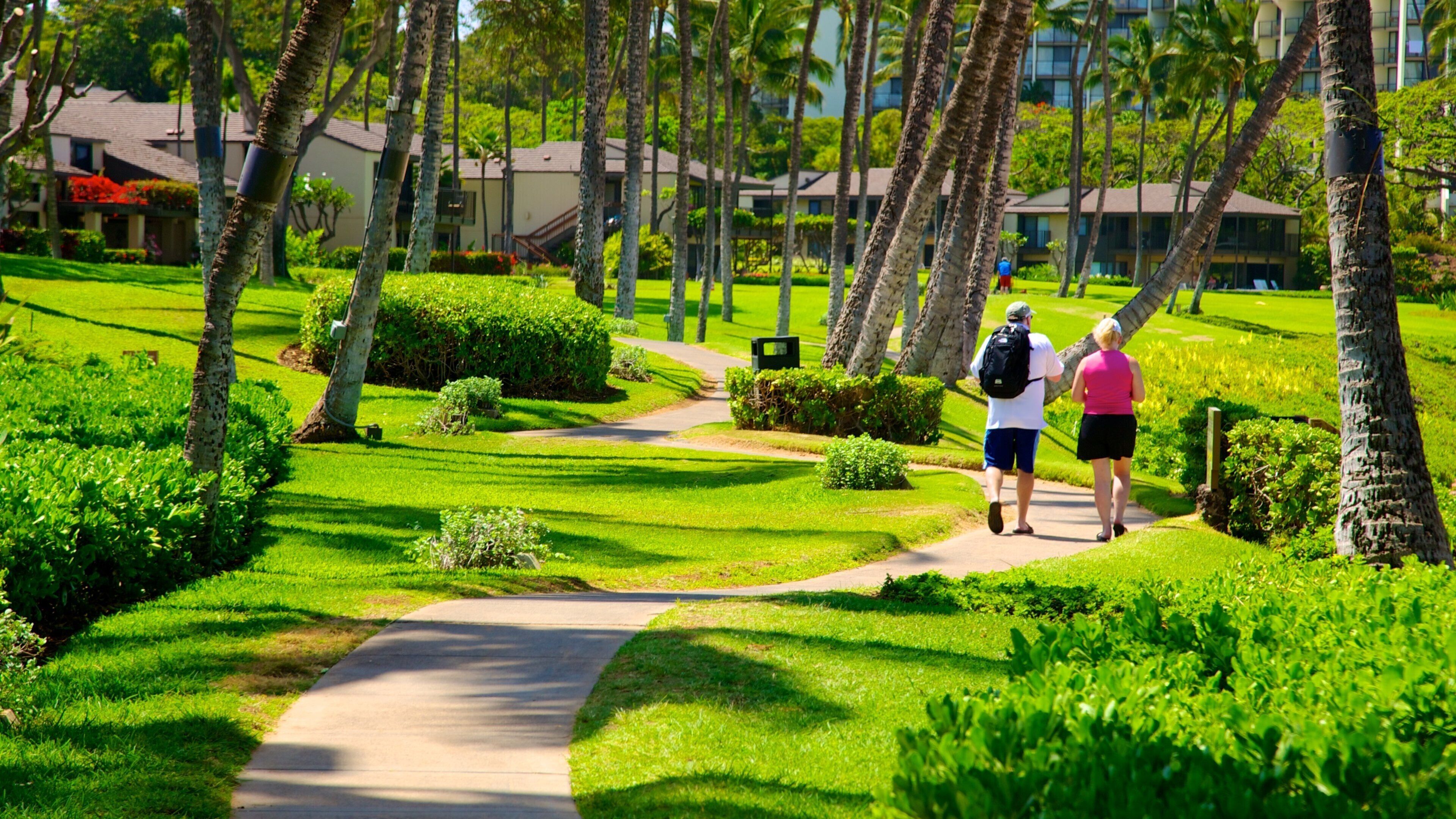 Wailea Beach featuring tropical scenes and a park as well as a couple