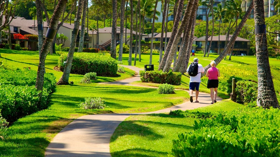 Wailea Beach featuring tropical scenes and a park as well as a couple