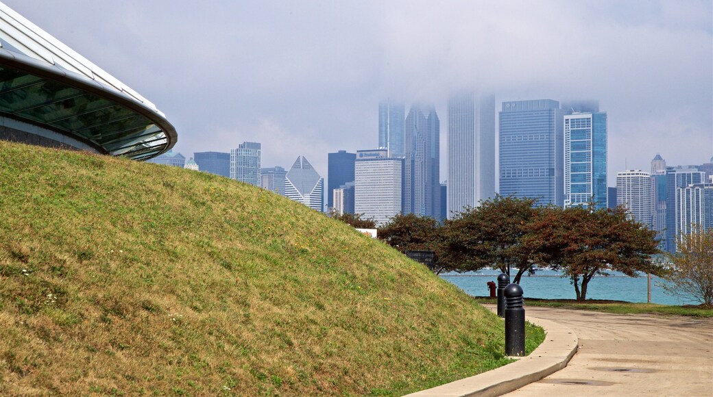 Adler Planetarium and Astronomy Museum showing mist or fog, a high-rise building and a city