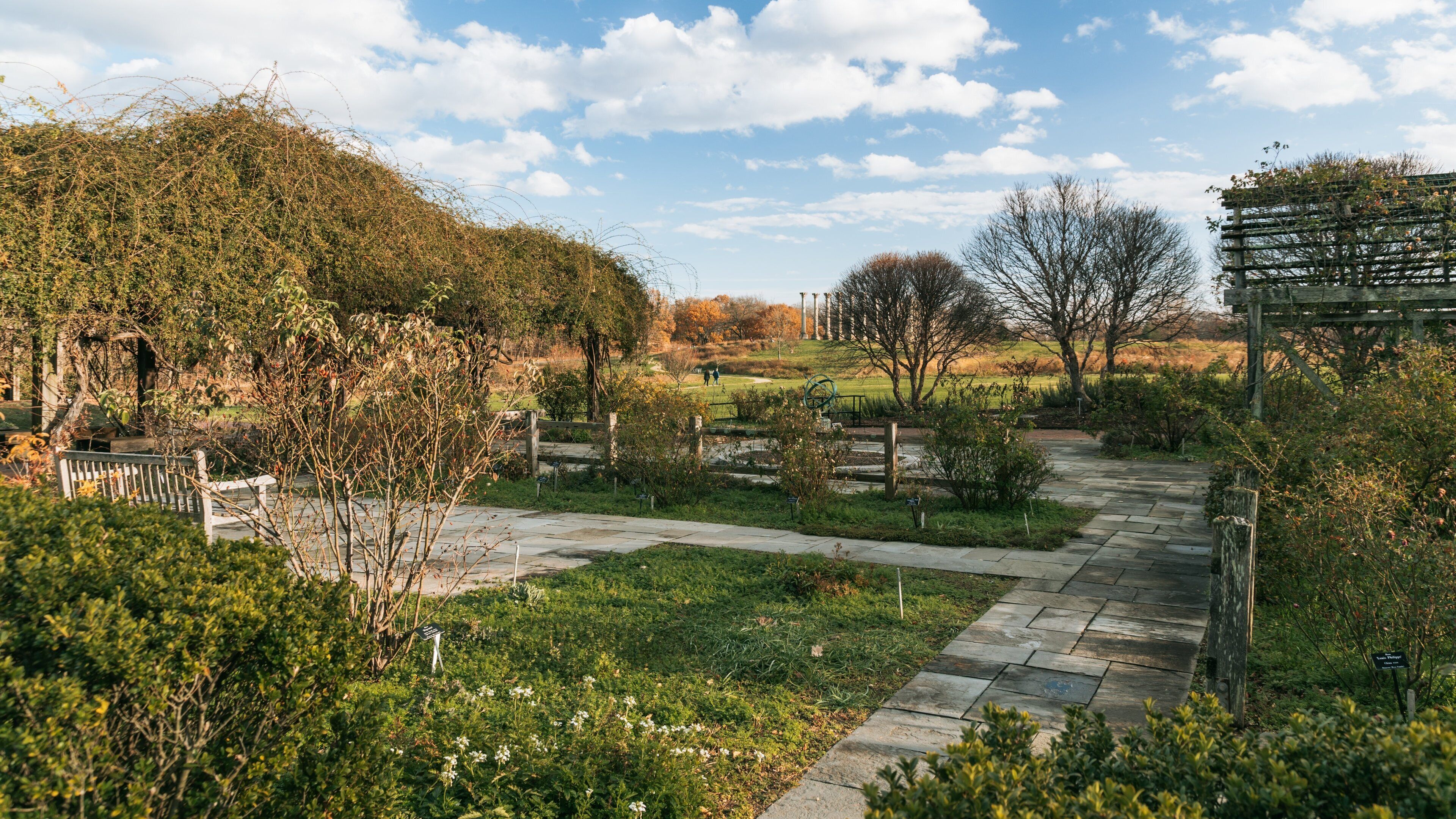 U.S. National Arboretum showing a park