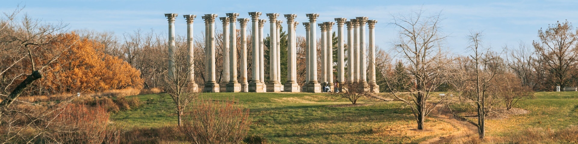 U.S. National Arboretum featuring a garden, heritage elements and a monument