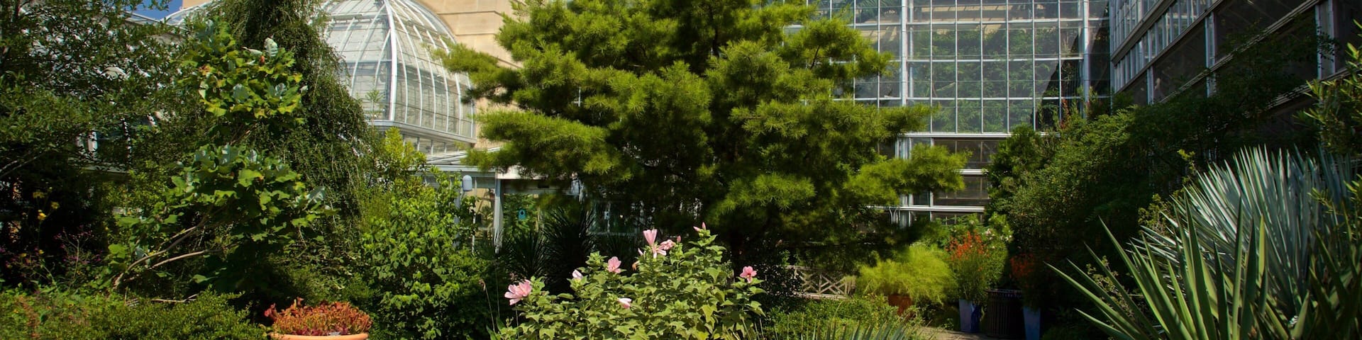 United States Botanic Garden which includes wildflowers and a park