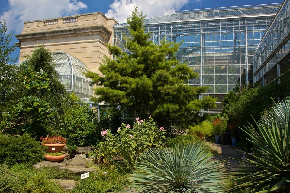 A greenhouse with glass walls, surrounded by various plants and trees.