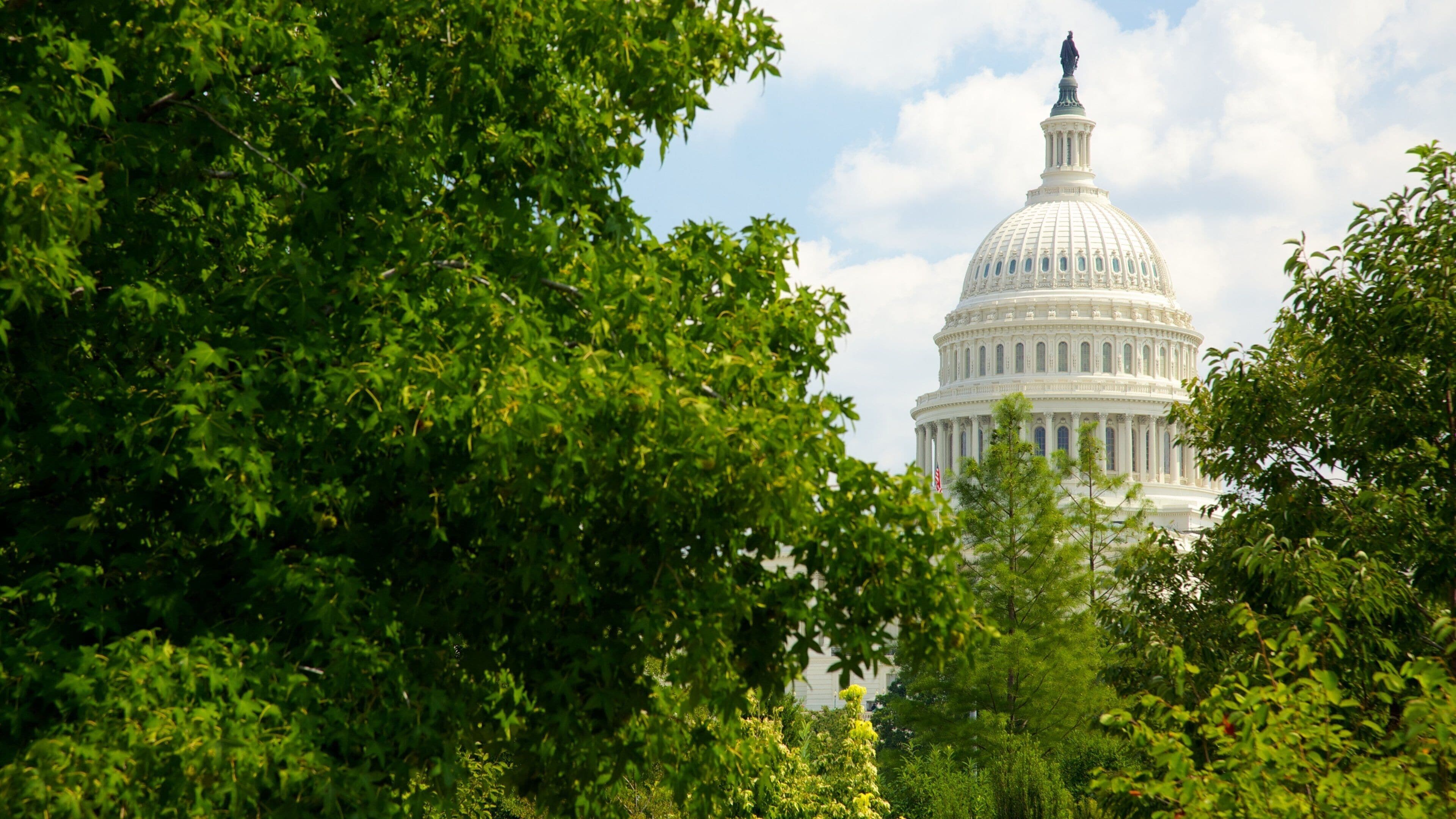 National Mall featuring a park, a city and an administrative buidling