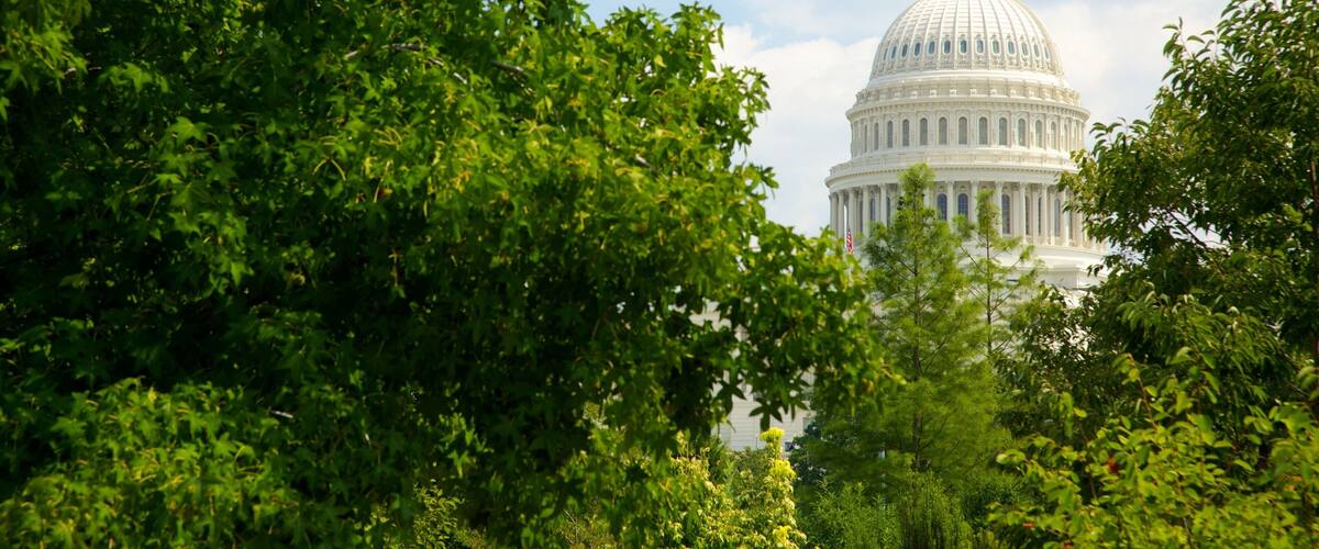 National Mall showing a park, a city and an administrative building