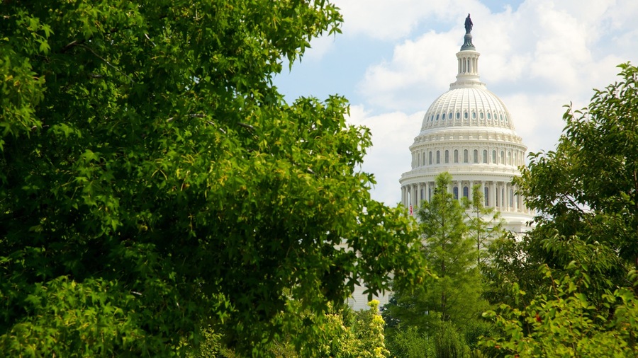 National Mall showing a park, a city and an administrative building