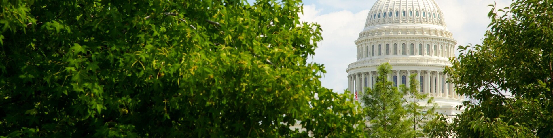 Views of the United States Botanic Garden with the Capitol Building framed by lush greenery