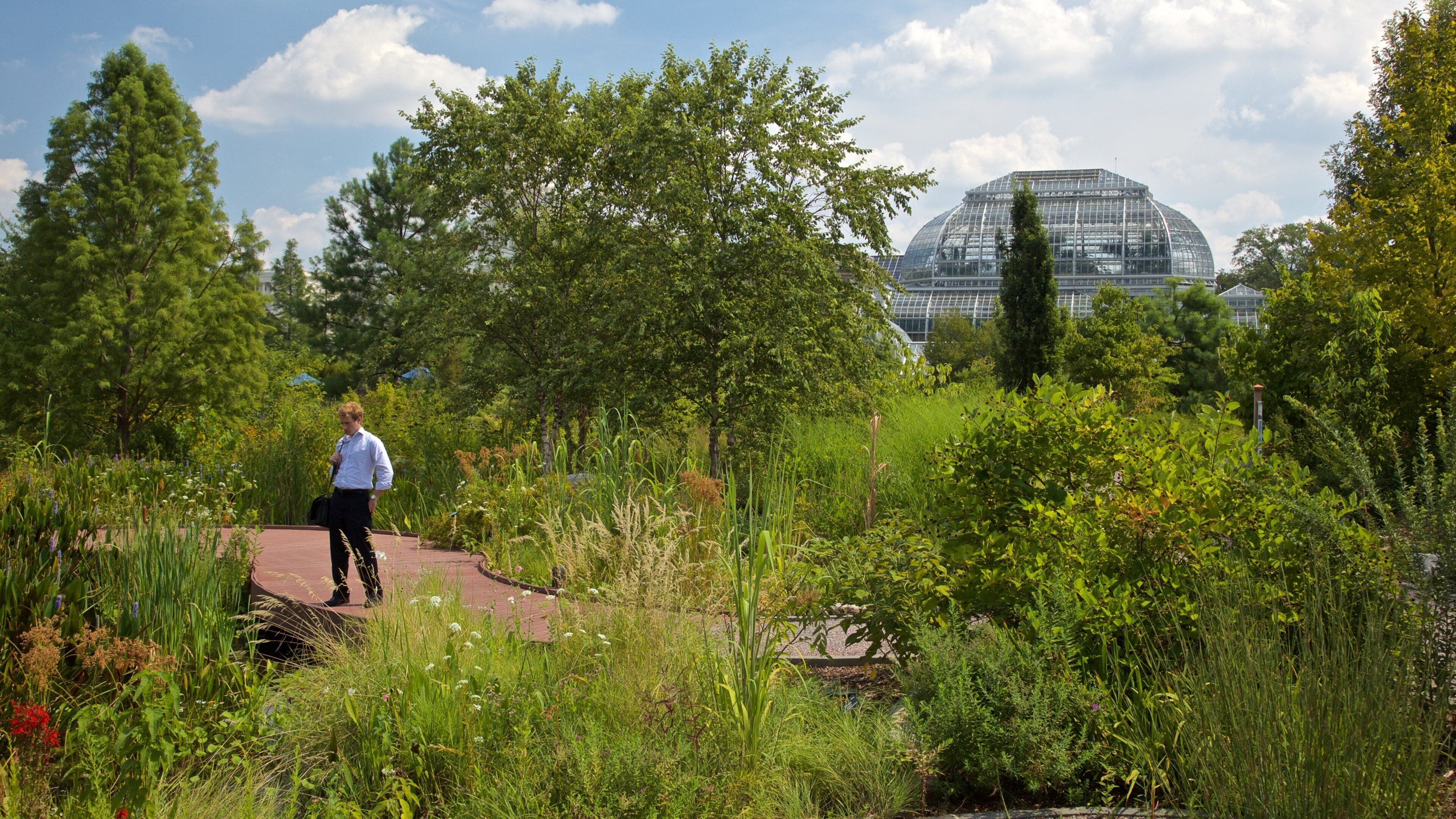 United States Botanic Garden which includes a park as well as an individual male