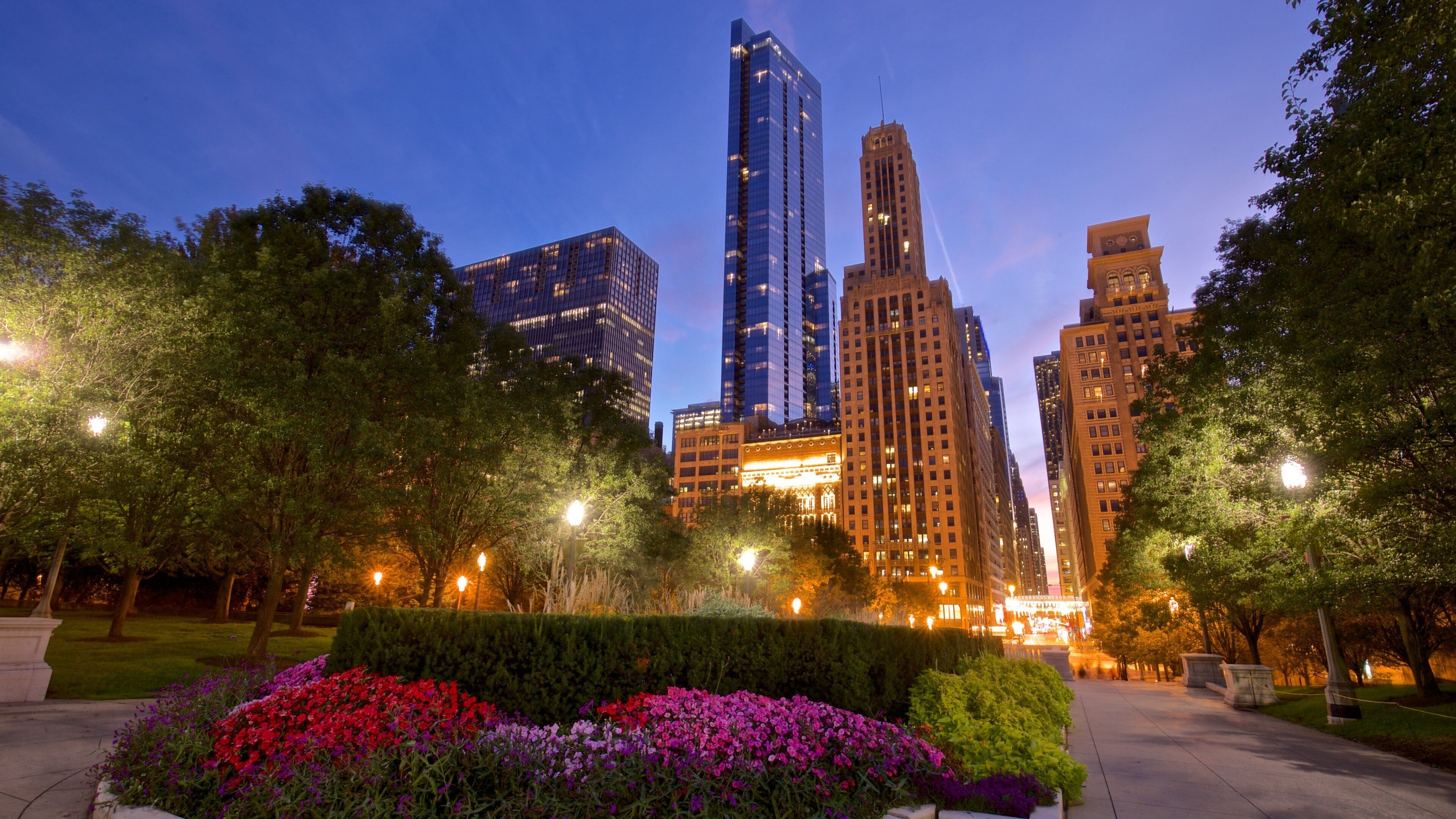 Millennium Park featuring night scenes, a skyscraper and a garden