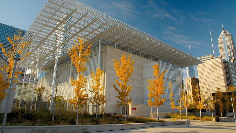 Millennium Park som visar en stad, höstfärger och gatuliv
