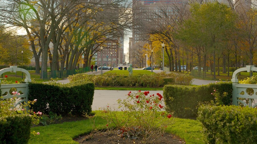Exploring the beauty of Millennium Park in Chicago during autumn with vibrant foliage and blooming flowers