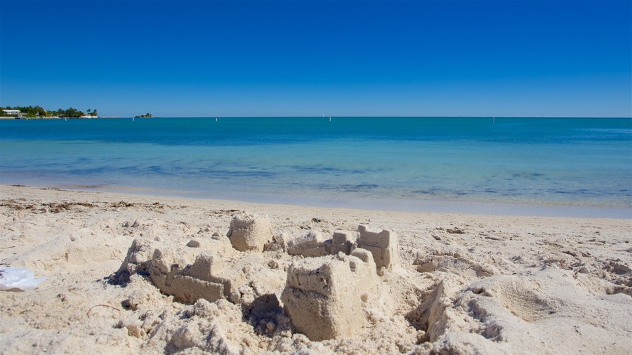 Sombrero Beach which includes a bay or harbour and a sandy beach