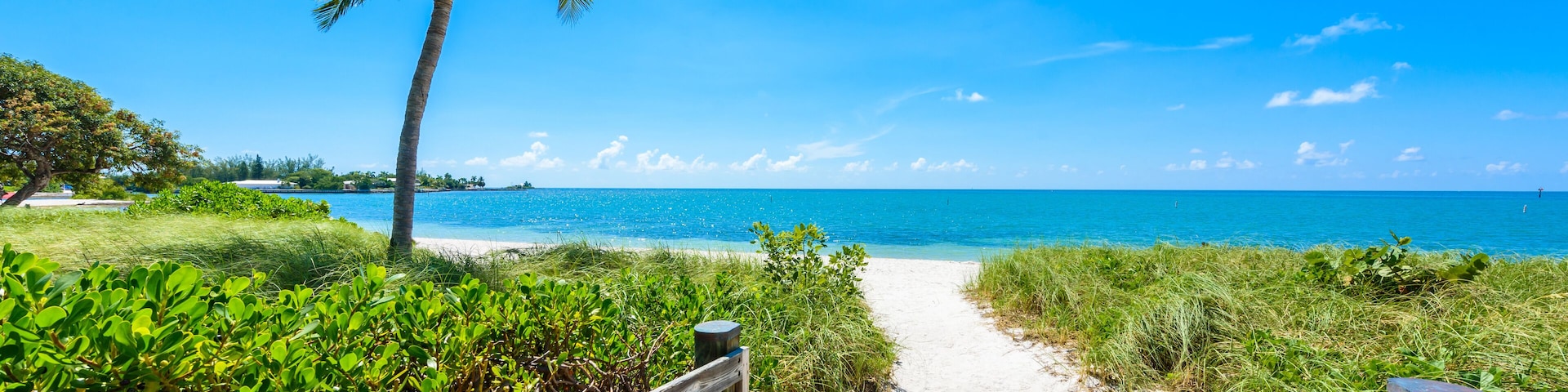 Sombrero Beach with palm trees on the Florida Keys, Marathon, Florida, USA. Tropical and paradise destination for vacation.
