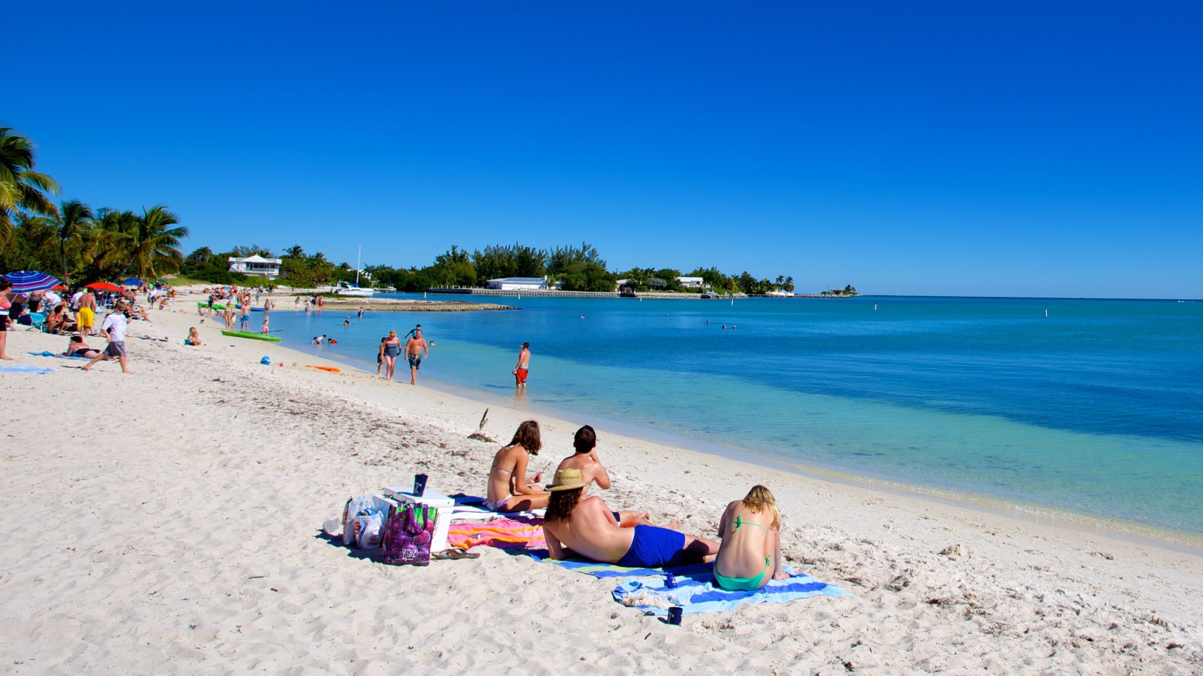 A sunny beach with people sunbathing and swimming.