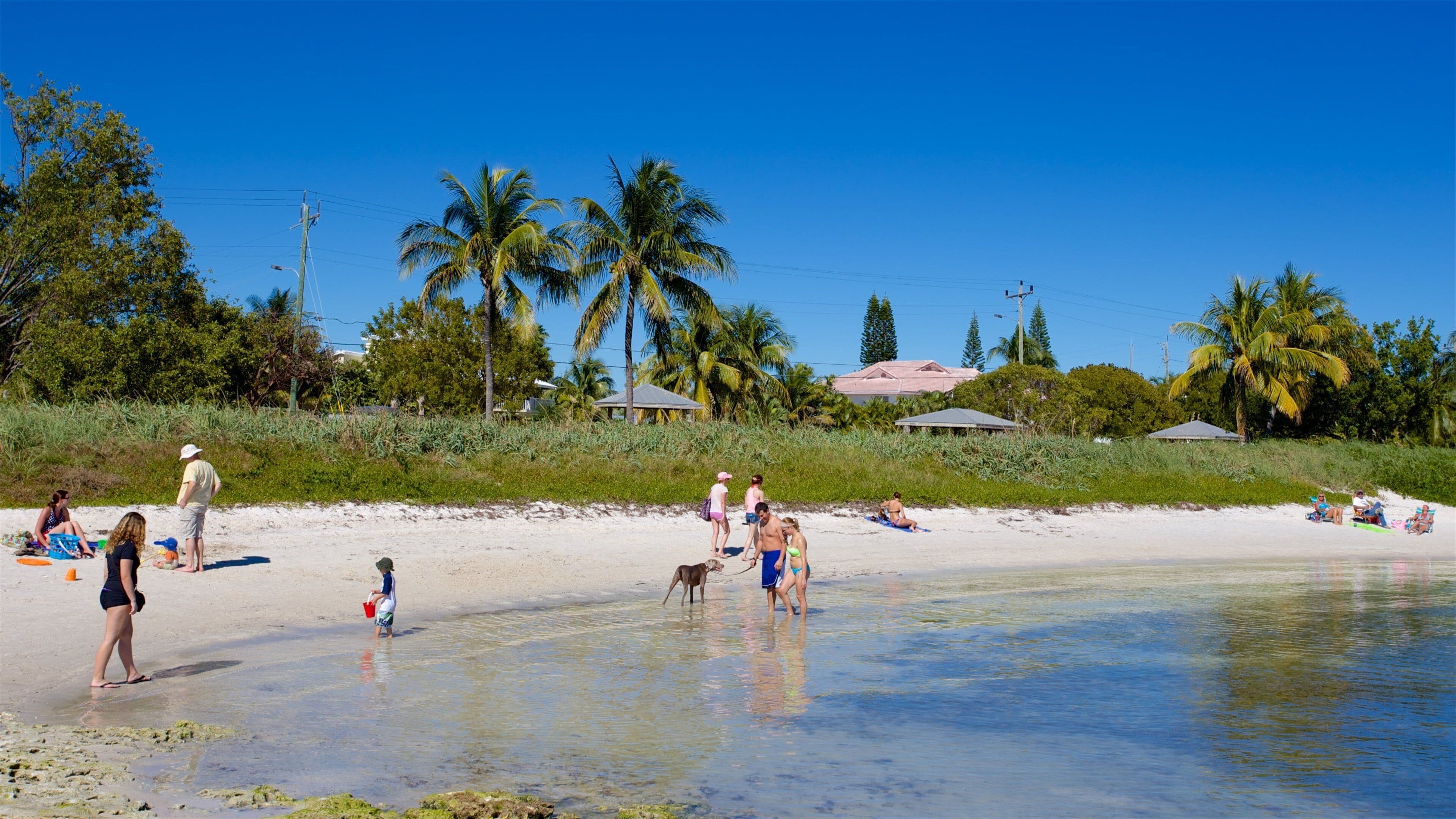 Families enjoying Sombrero Beach in Marathon Florida. FloridaKeysVillas.com