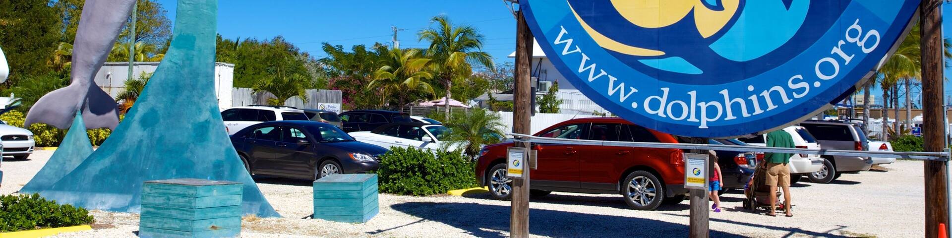 ドルフィンおよび自然研究センター 表示 像あるいは彫刻 と 標識