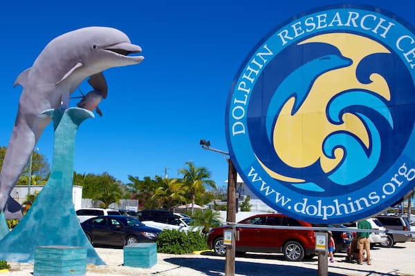 Dolphin Research Center mostrando uma estátua ou escultura e sinalização