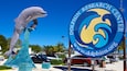 Dolphin Research Center