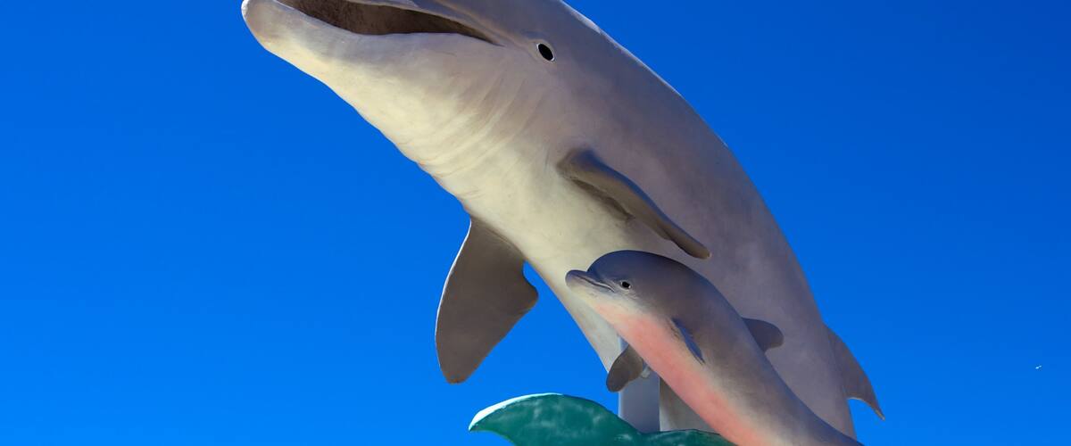 Dolphin Research Center which includes a statue or sculpture