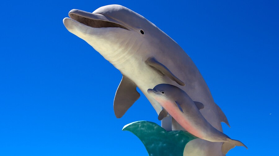 Dolphin Research Center which includes a statue or sculpture