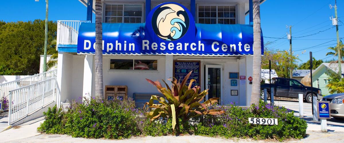 Dolphin Research Center showing signage