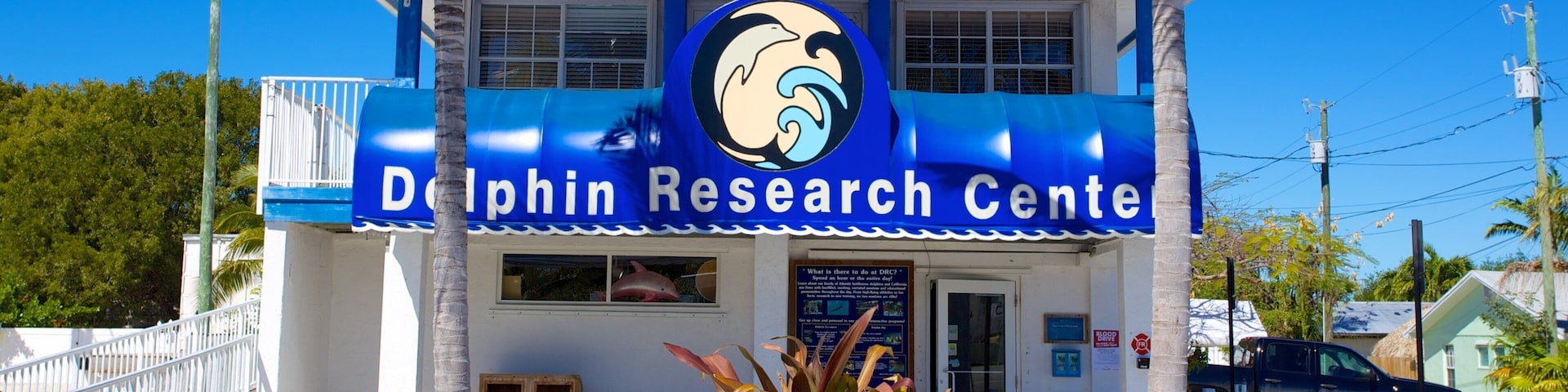 Dolphin Research Center showing signage