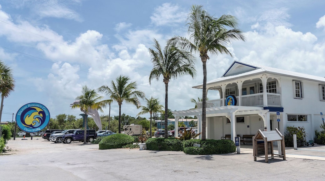 Marathon_DolphinResearchCenter-0004