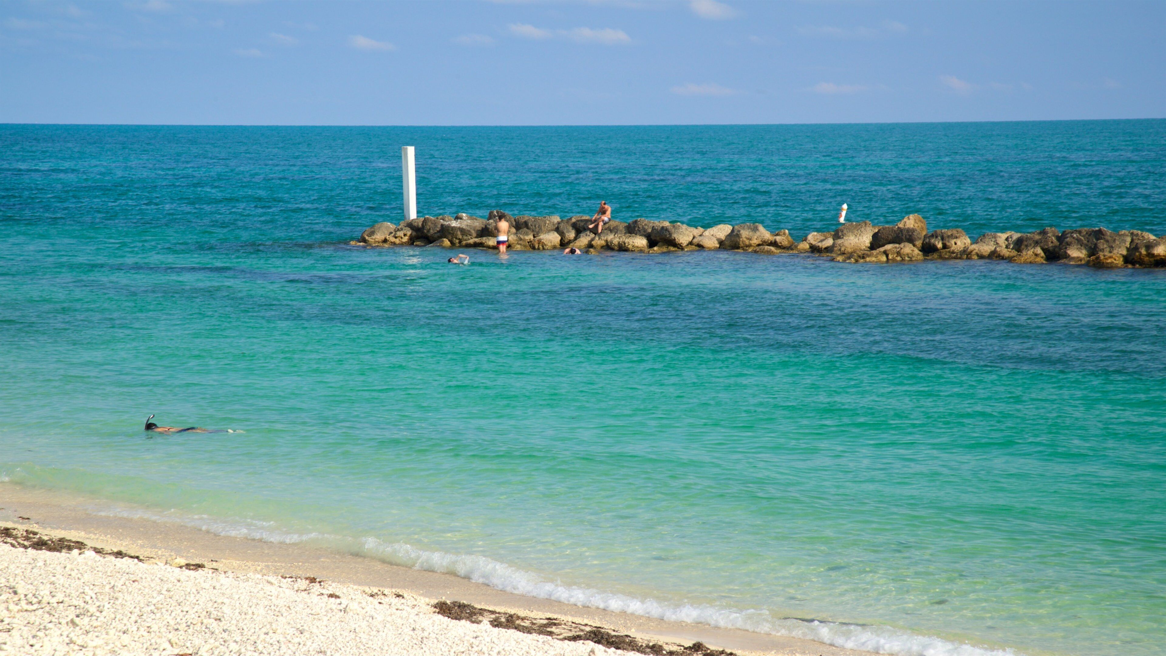 Fort Zachary Taylor Historic State Park which includes general coastal views and a sandy beach